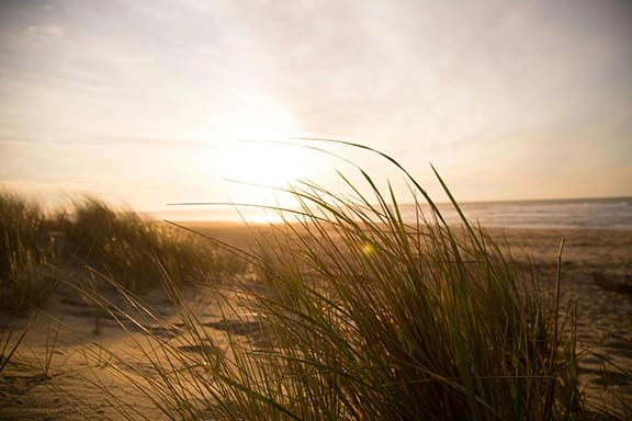 Guide to Oceanfront Living in Brunswick County, NC